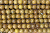 WOOD19 15 inches 8mm round wood beads wholesale